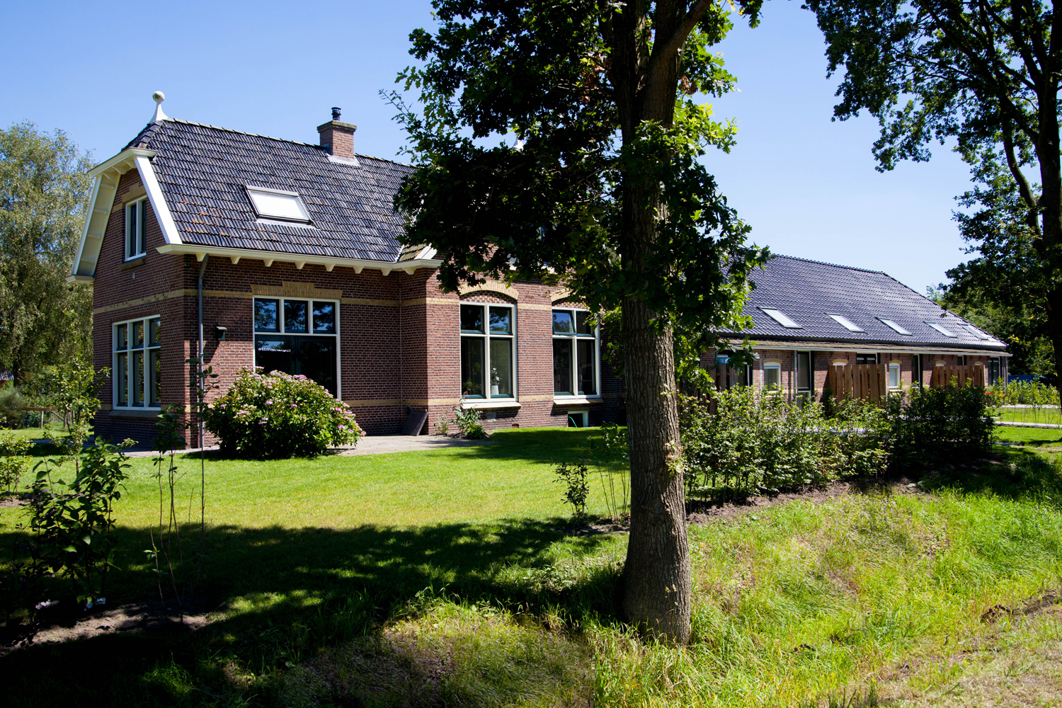 website